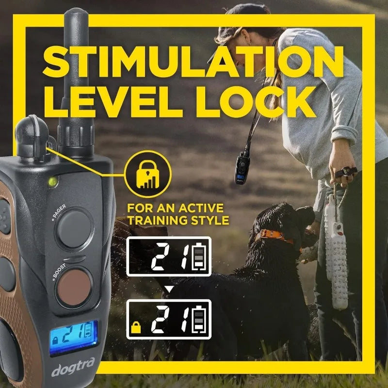 Remote Dog Training E-Collar