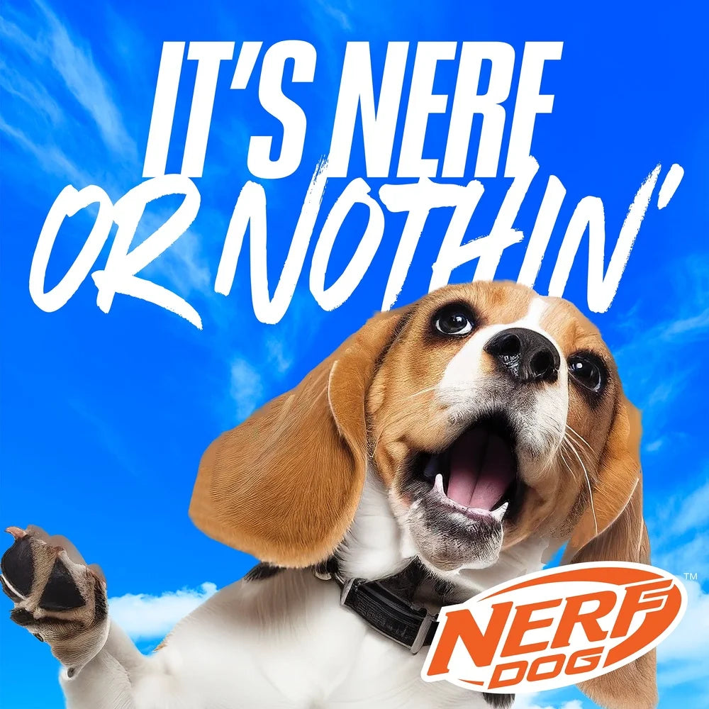 Compact Tennis Ball Launcher For Dogs