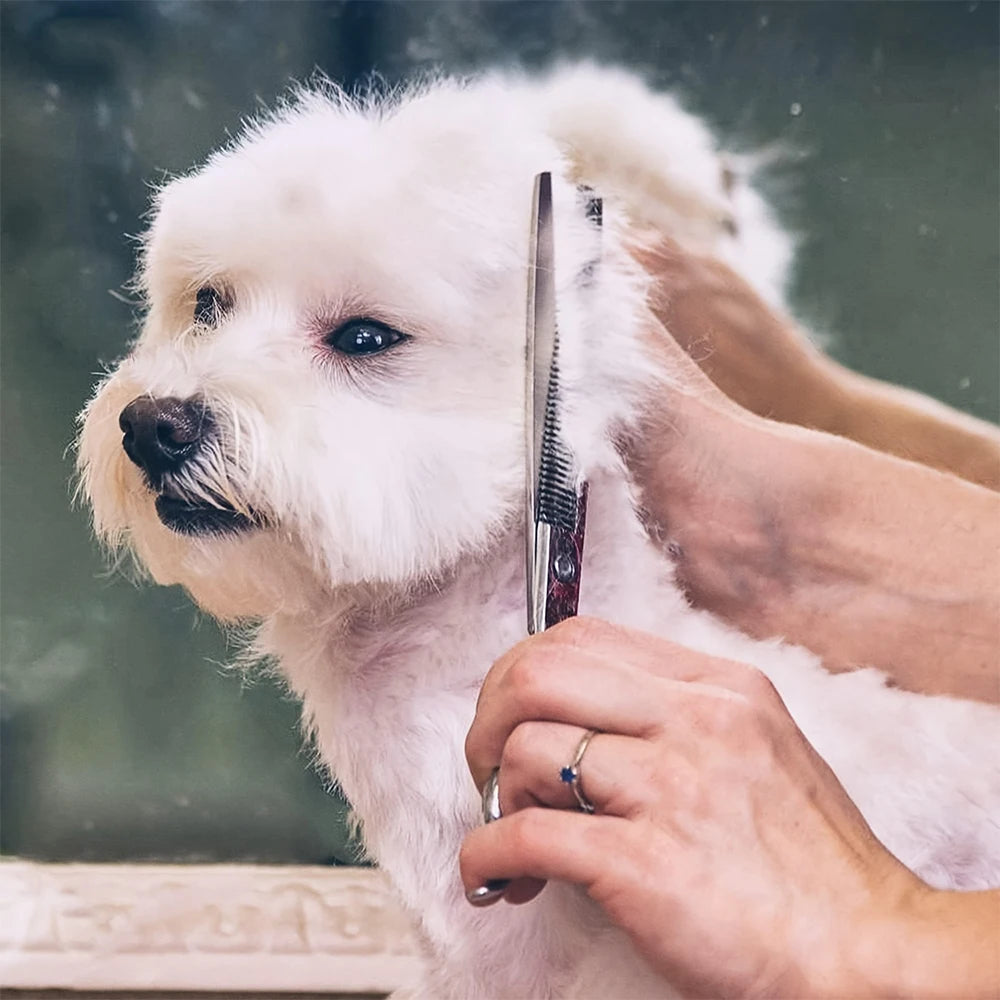 Professional 7 Inch Stainless Steel Pet Hair Shears
