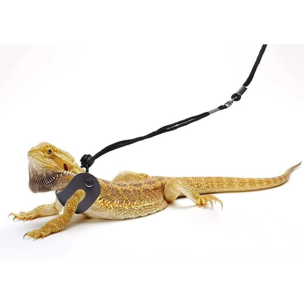 Bearded Dragon Harness and Adjustable Leash