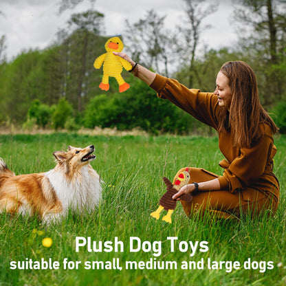 5 Pack of Plush Dog Squeaky Toys