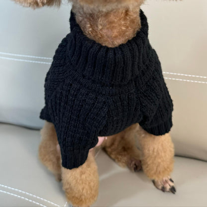 Knit Winter Coat for Dogs