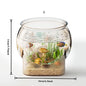 Round Transparent Aquarium