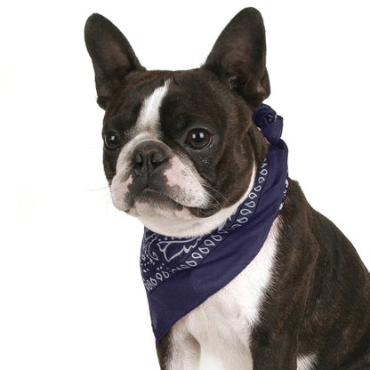 Pack of 6 Bandanas for Dog