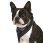 Pack of 6 Bandanas for Dog