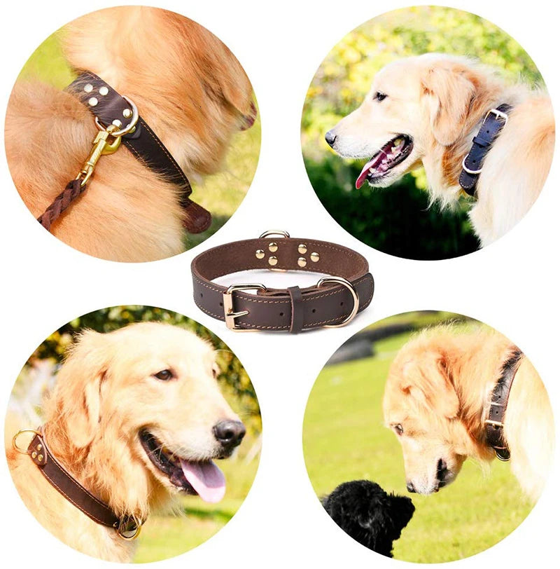 Genuine Vintage Leather Dog Collar