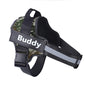 Personalized Dog Reflective Harness