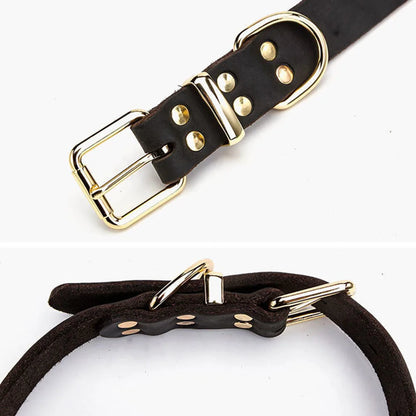 Real Leather D Ring Dog Collar