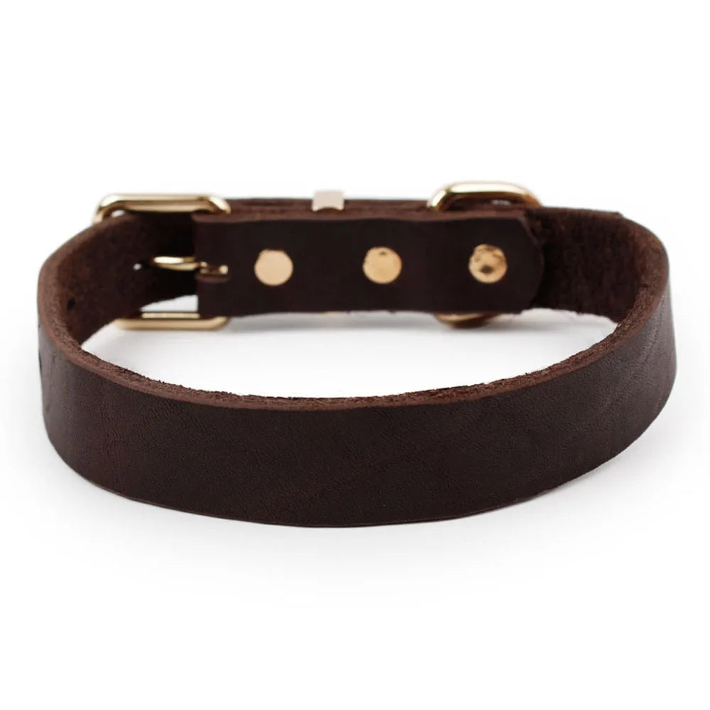 Real Leather D Ring Dog Collar