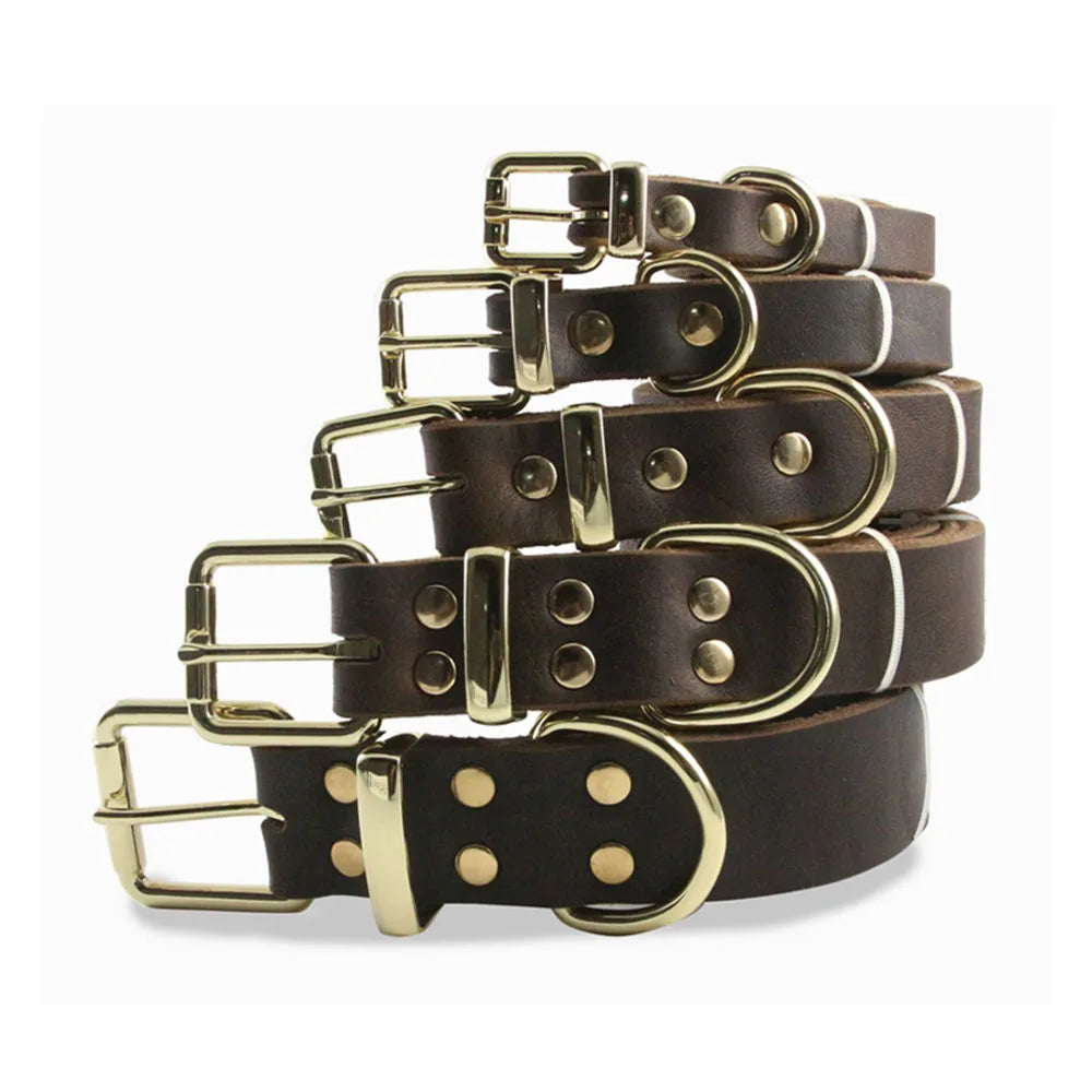 Real Leather D Ring Dog Collar