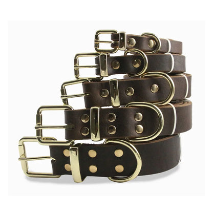 Real Leather D Ring Dog Collar
