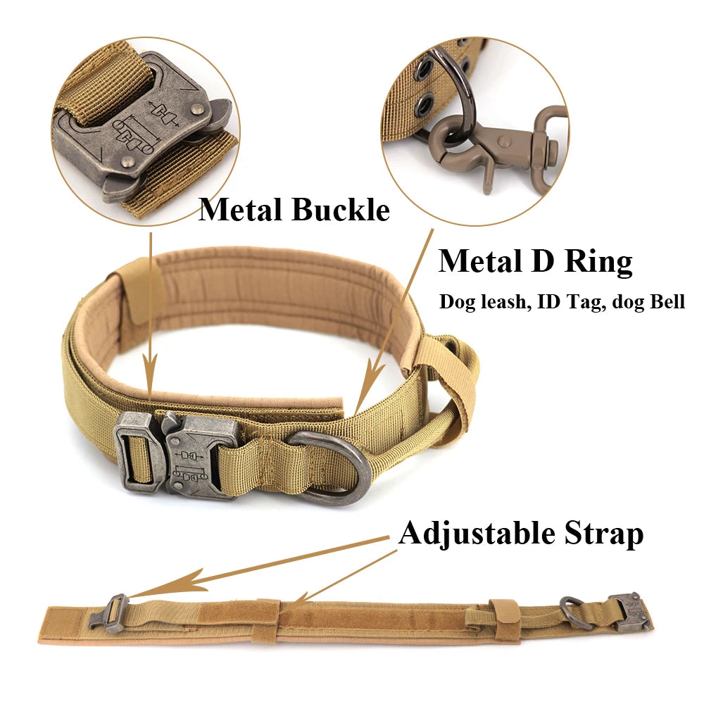 Collar for Large Dog