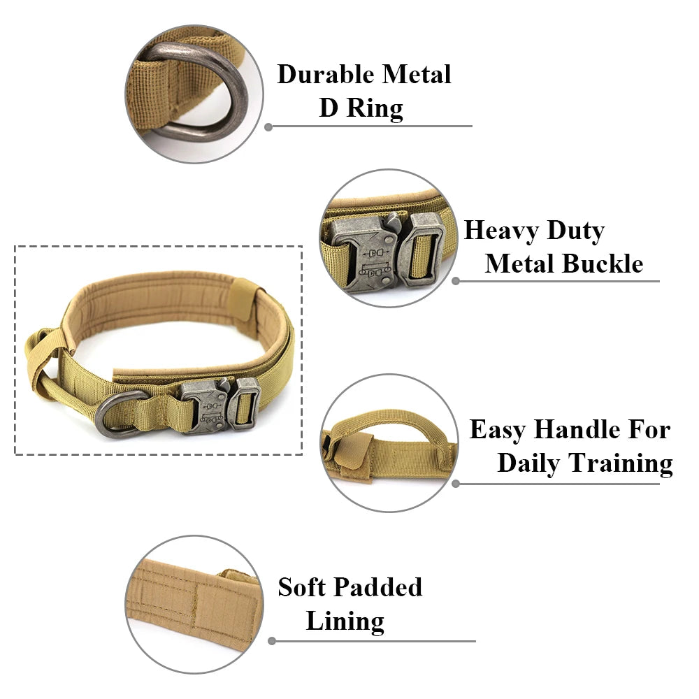 Collar for Large Dog