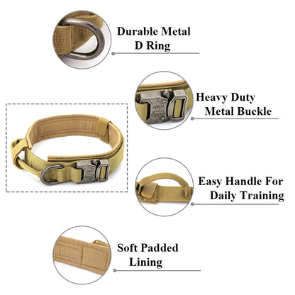 Collar for Large Dog