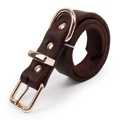 Real Leather D Ring Dog Collar
