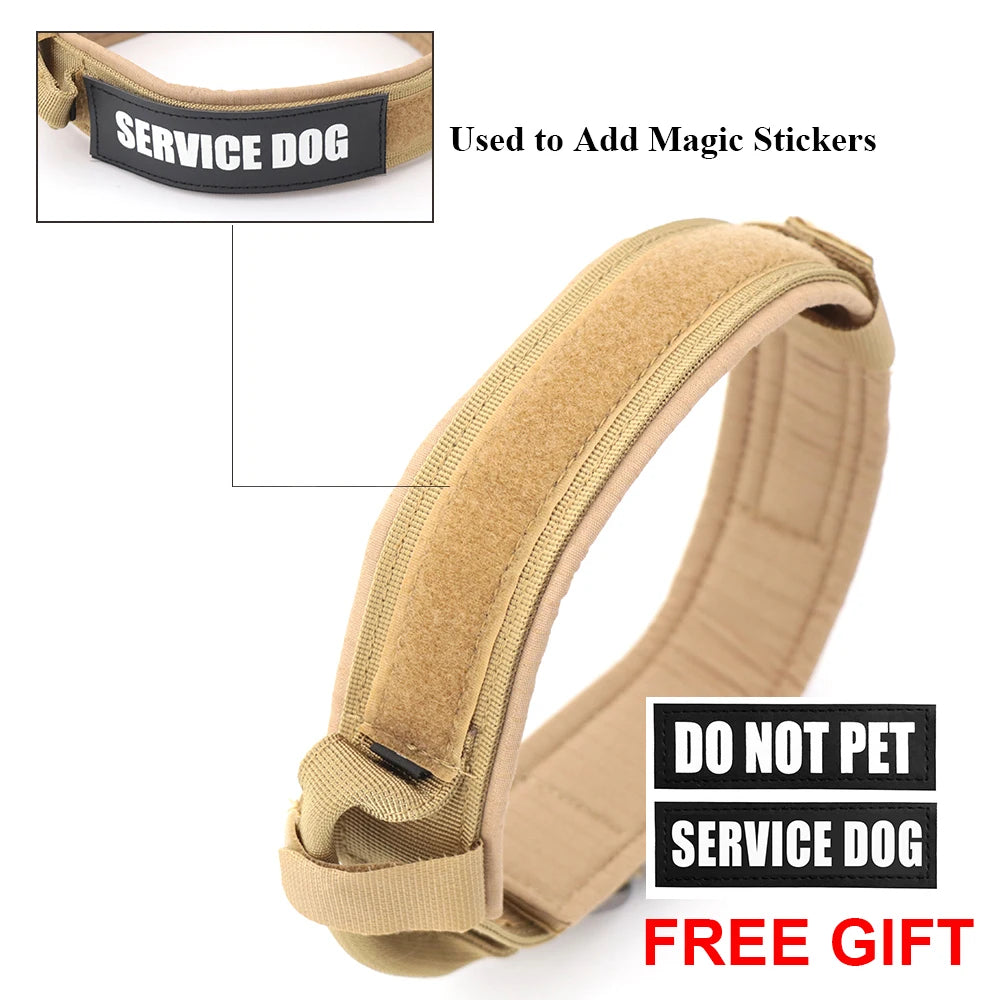Collar for Large Dog