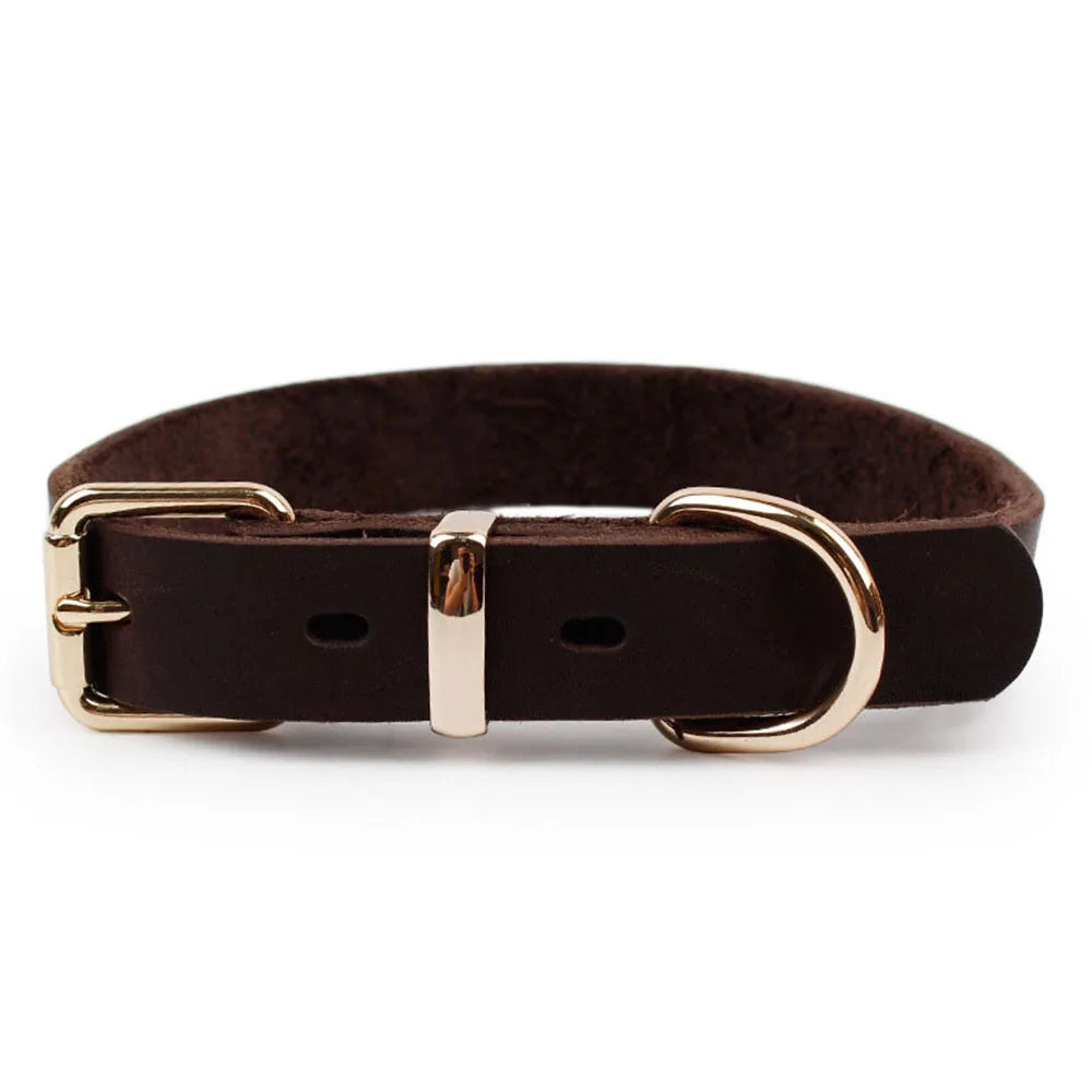 Real Leather D Ring Dog Collar