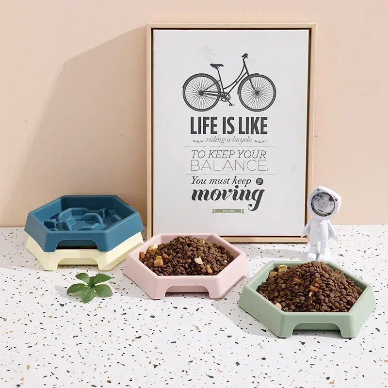 Slow Feeder Food Bowl