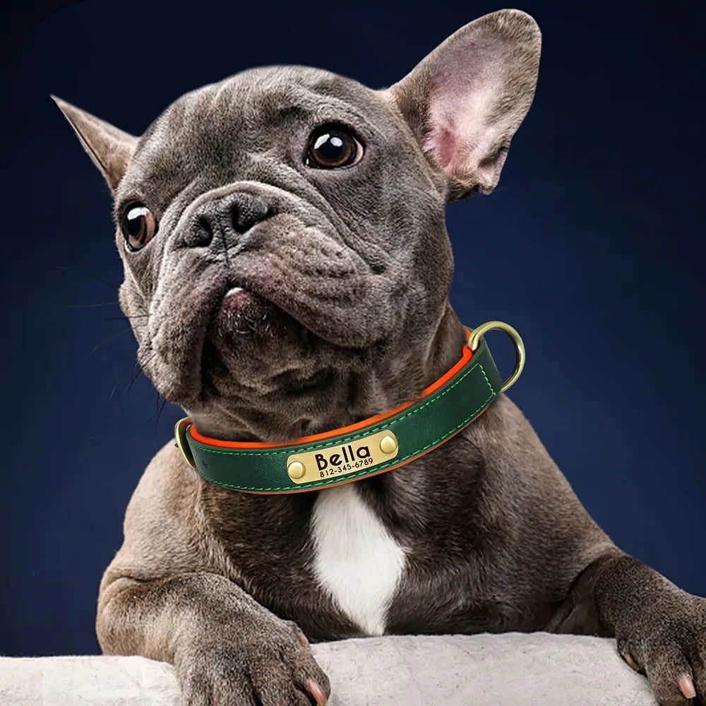 Personalized Leather Custom Dog Collar
