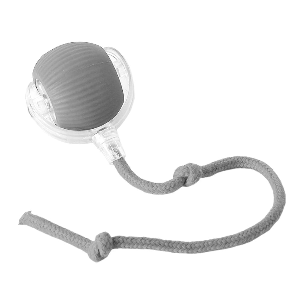 Automatic Rolling Interactive Ball Toy