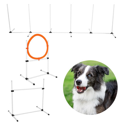 Obstacle Course for Dog