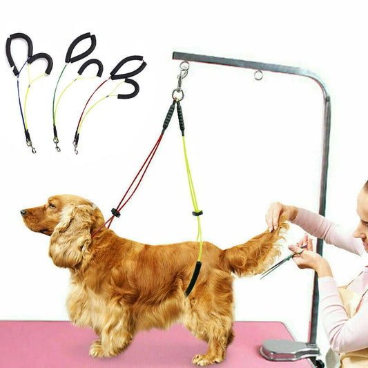 Pet Grooming Traction Belt