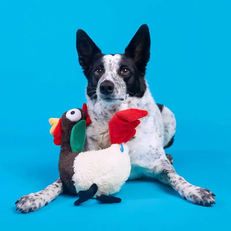 Squeaky Crinkle Rooster Dog Toy