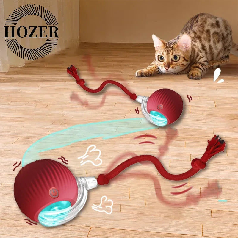 Interactive Rolling Ball Toys for Cats