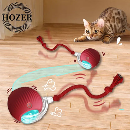 Interactive Rolling Ball Toys for Cats
