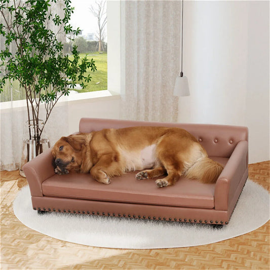 Large Elevated Leather Dog Bed