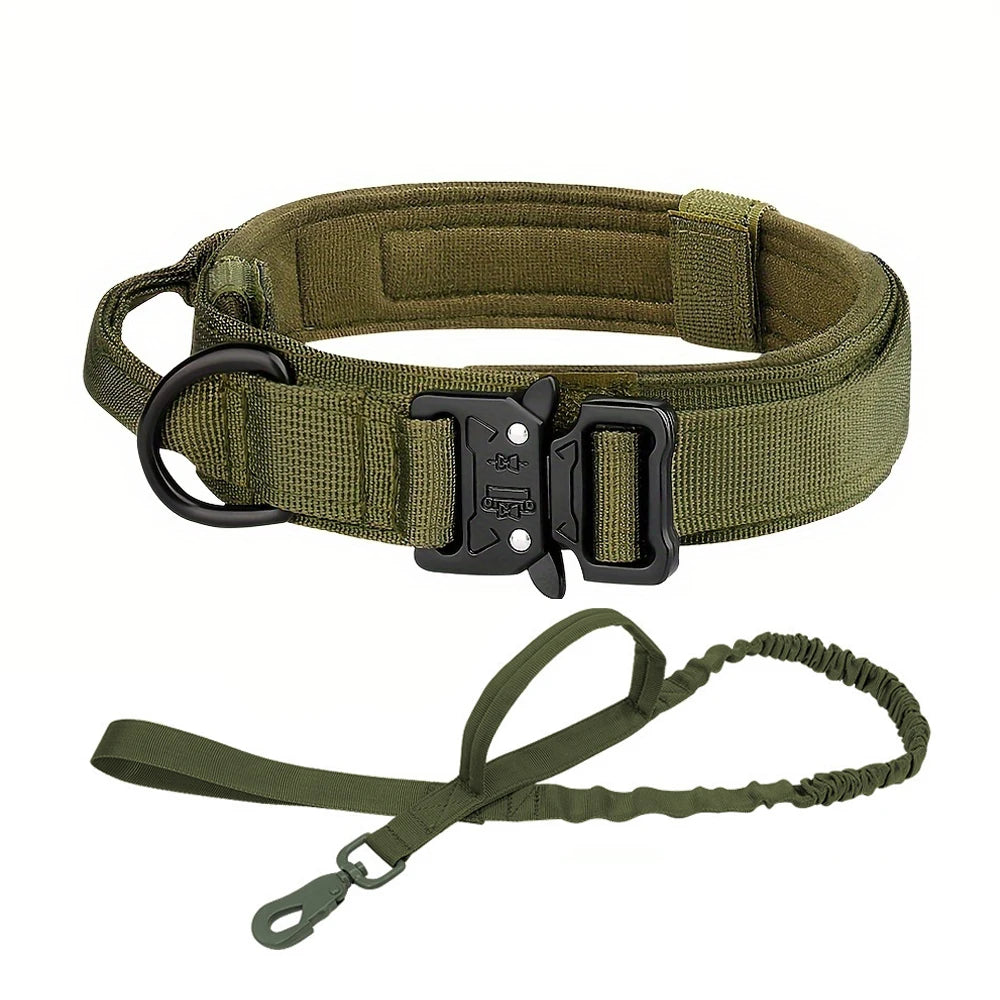 Collar for Large Dog