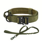 Collar for Large Dog