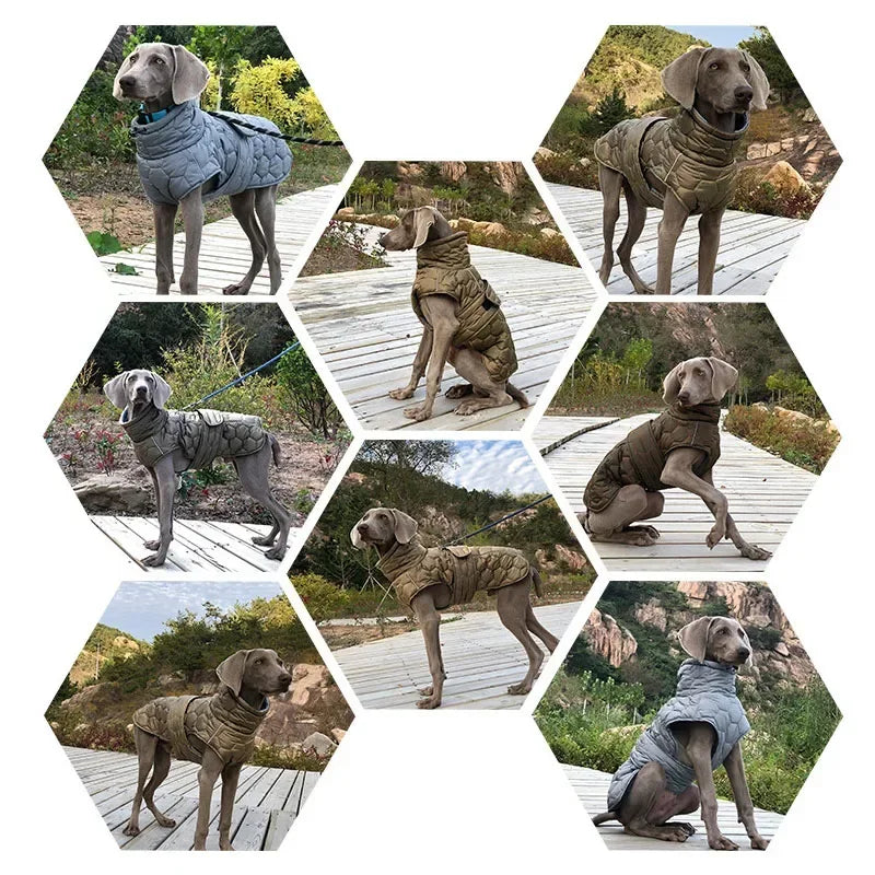 Large Breed Winter Dog Snowsuit
