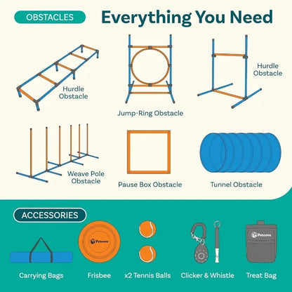 Backyard Agility Course for Dogs