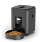 Slow Food Dispenser for Cat or Dog