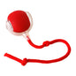 Automatic Rolling Interactive Ball Toy