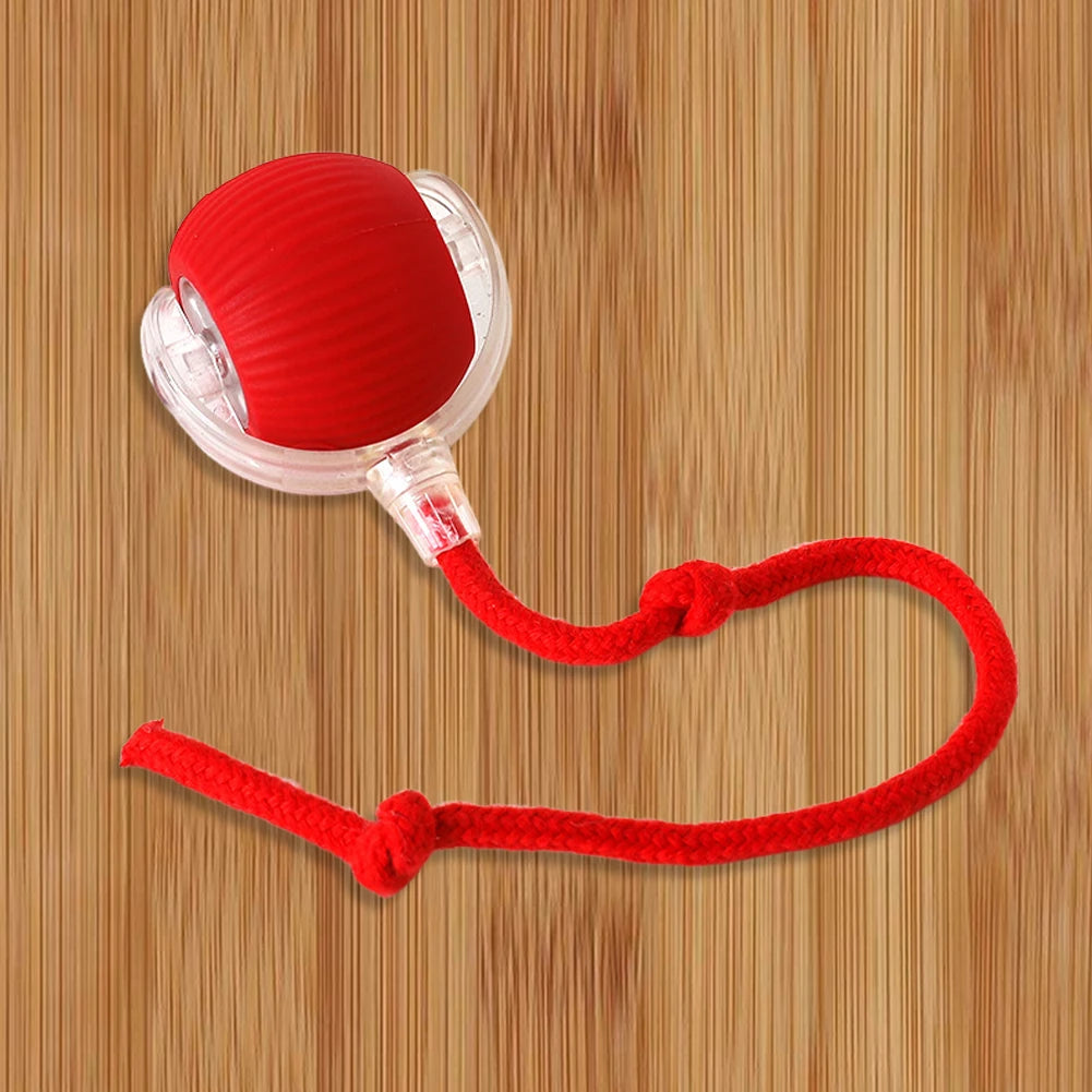 Automatic Rolling Interactive Ball Toy