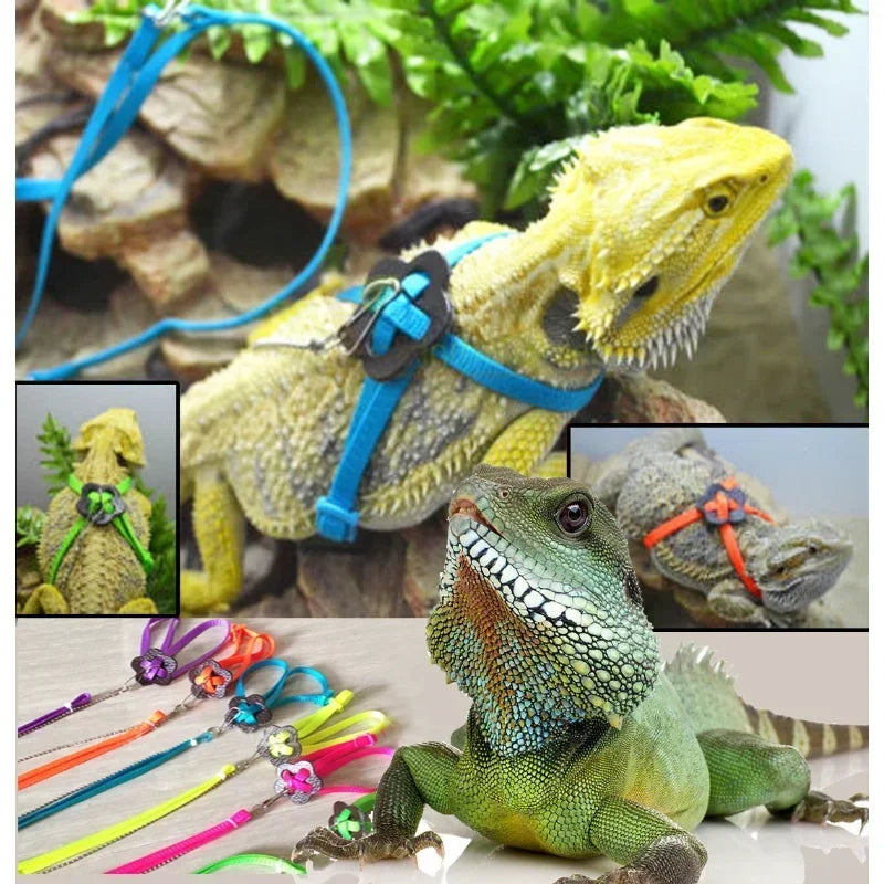 Pet Leash For Reptile Amphibians