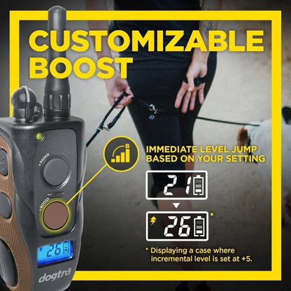 Remote Dog Training E-Collar