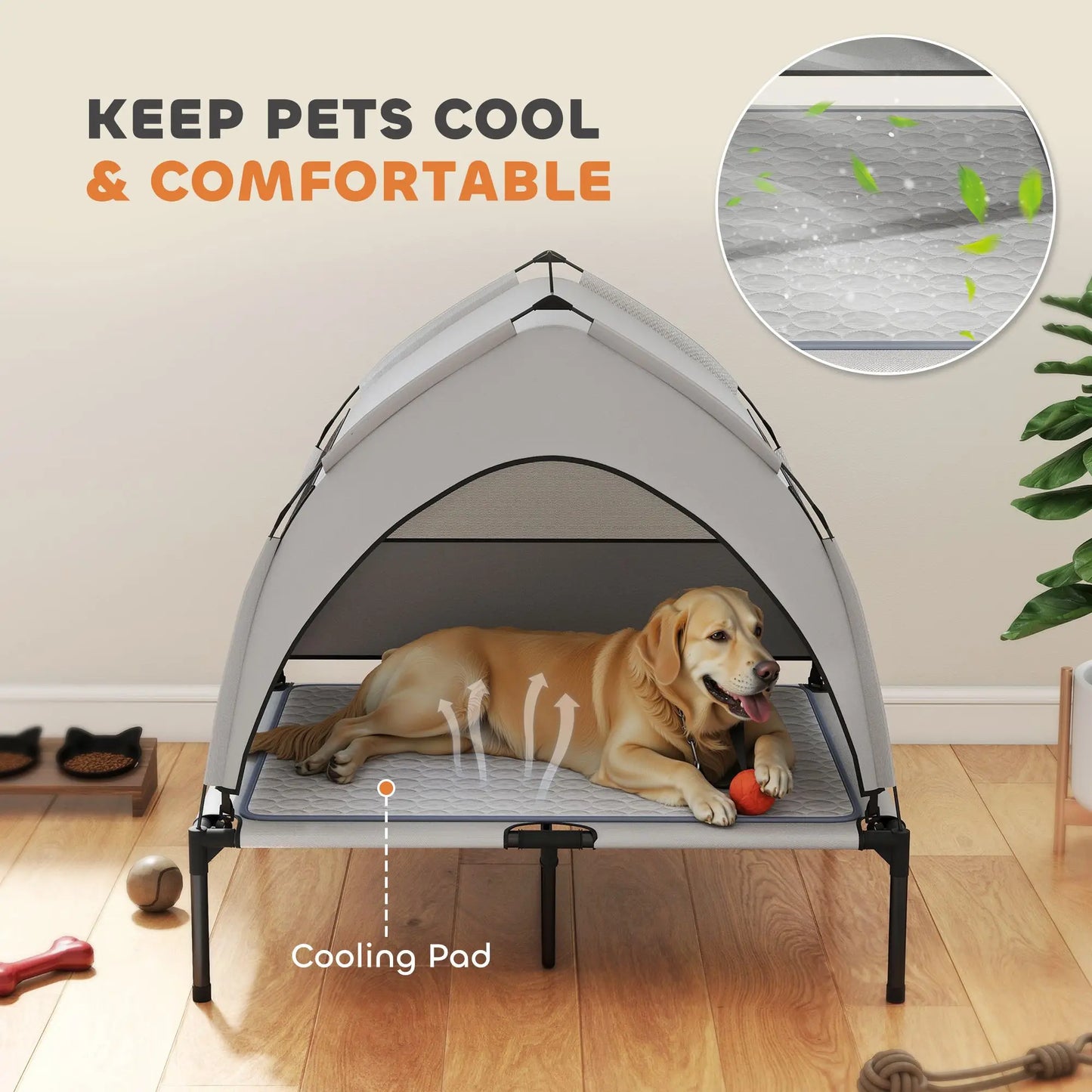 Elevated Dog Bed with Removable Canopy for Outside