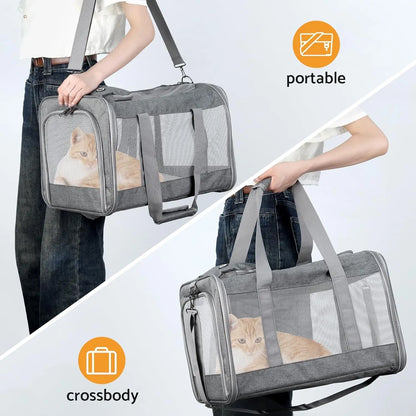 Car/Air Travel Pet Carrier