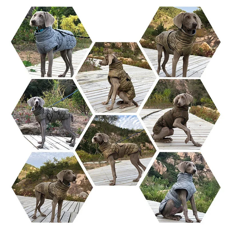 Large Breed Winter Dog Snowsuit