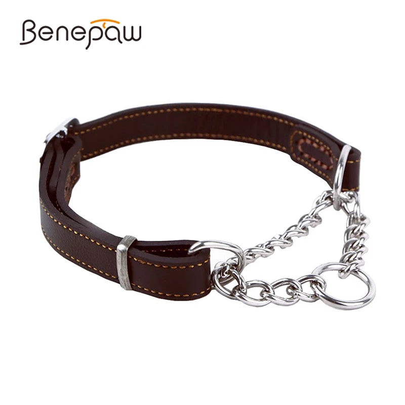 Martingale Leather No Pull Collar