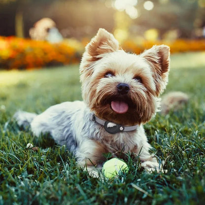 Leather Pet Collars For Apple Air-Tag