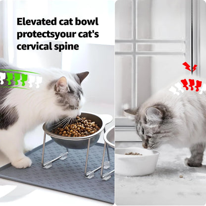 Stainless Steel Raised Cat Bowl with 15° Elevated Design