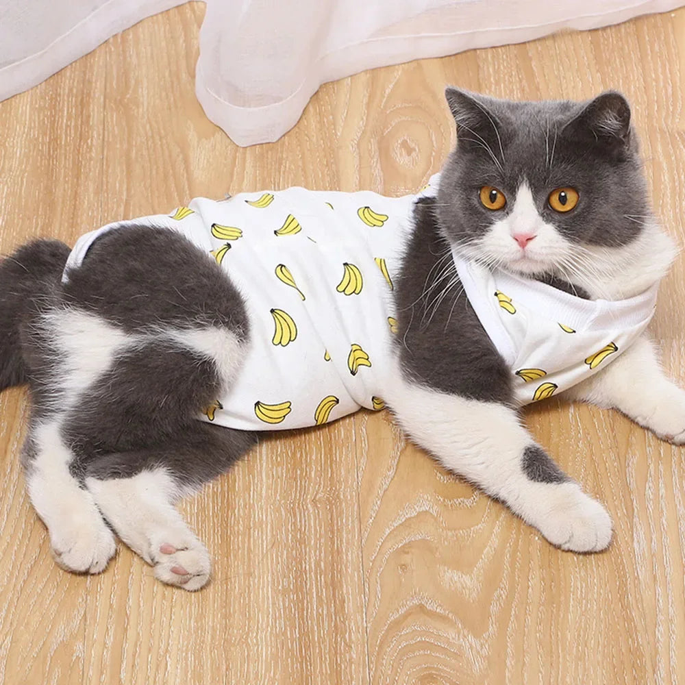 Cat Recovery Suit/Pajamas
