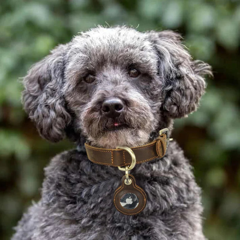 Luxury Genuine Leather "Crazy Horse" Dog Collar with Air-Tag