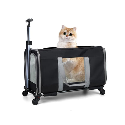 Cat Trolley for 2 Cats