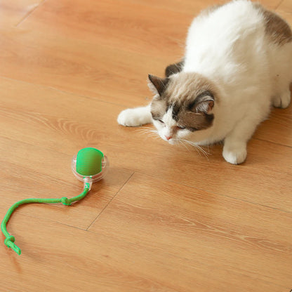 Automatic Rolling Interactive Ball Toy