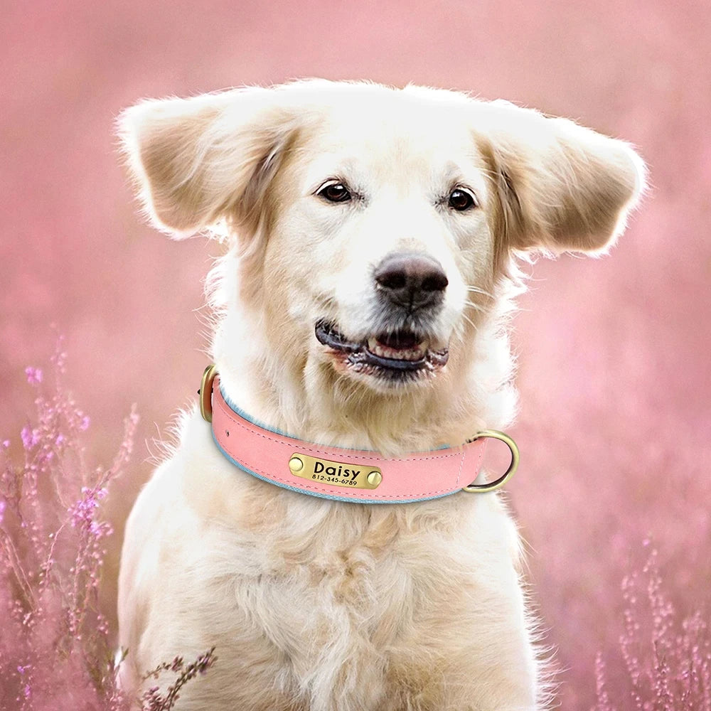 Personalized Leather Custom Dog Collar